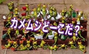 カメムシを家の中で見失った 追い出し方ってある