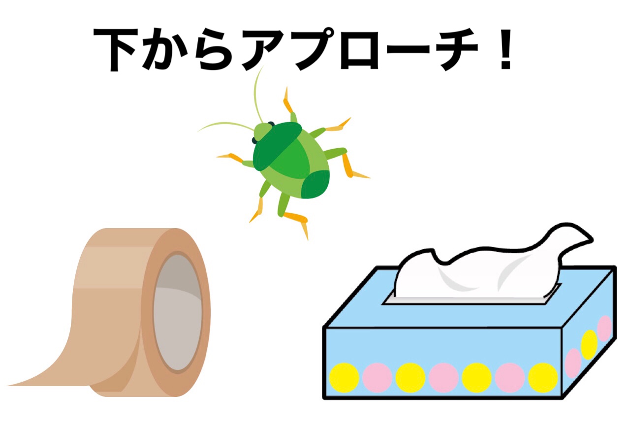 カメムシを家の中で見失った 追い出し方ってある