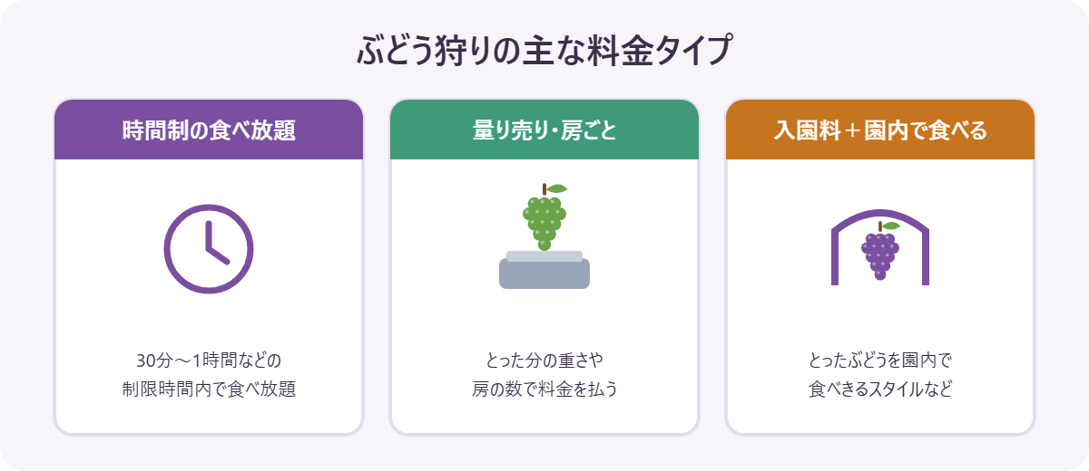 ぶどう狩りの主な料金タイプの図