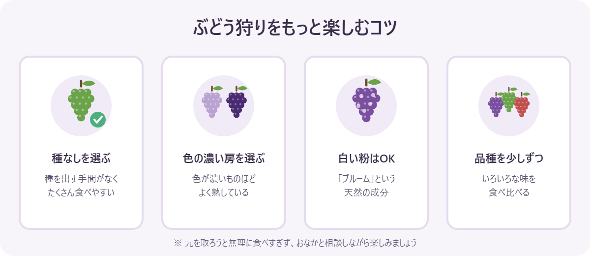 ぶどう狩りをもっと楽しむコツの図