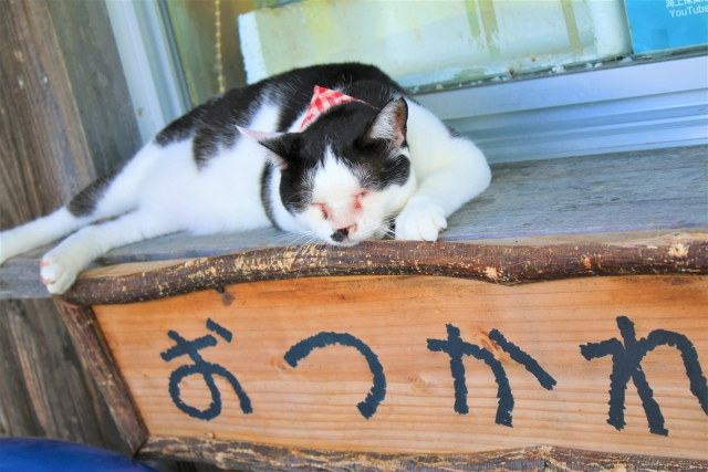 お疲れサマンサの意味や由来って何 面白い返し方ってある お疲れサマンサの意味や由来って何 面白い返し方ってある